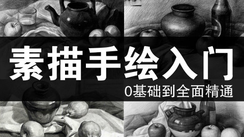 【史上最强画画教学】素描篇—第12集(蔡海晨素描绘画手绘画画工作室出品)
